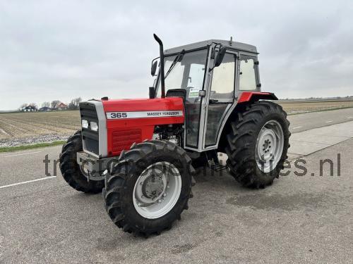 Massey Ferguson 365 beoordelingen en specificaties